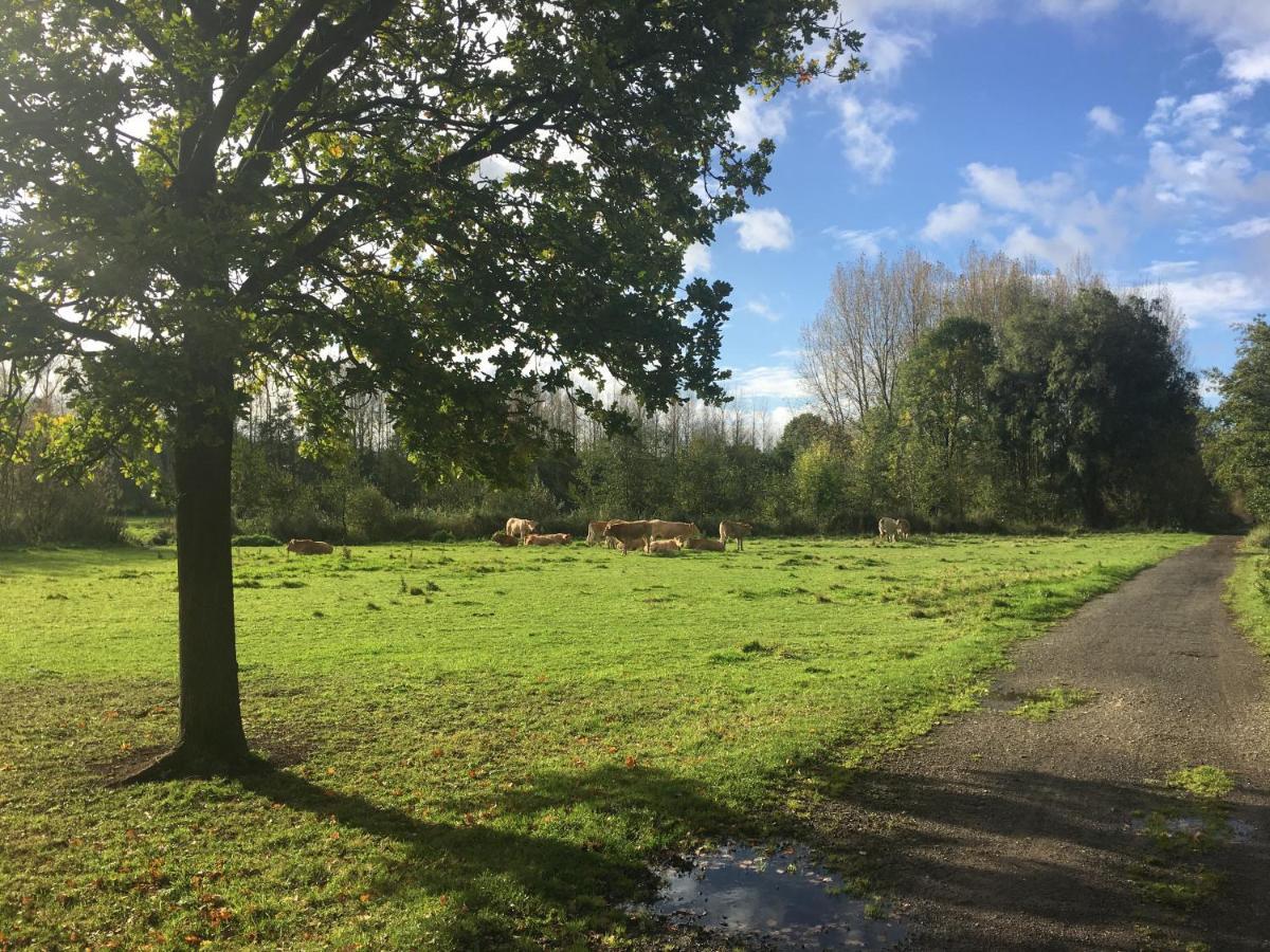 Scheldewegel Vakantiehuis Schelderode Zewnętrze zdjęcie